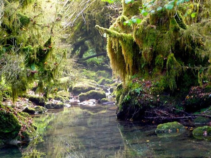 Petite Amazonie dans les Pyrénées (Baronnies)