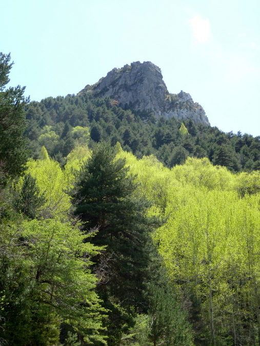 Vert printanier à Tella - Sobrarbe - Aragon