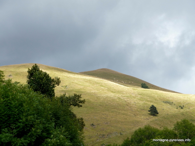 vallée du Louron au dessus de Mont - Pyrénées