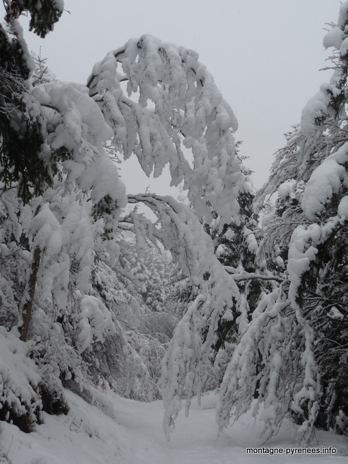 Premières neiges en vallée d'Aure