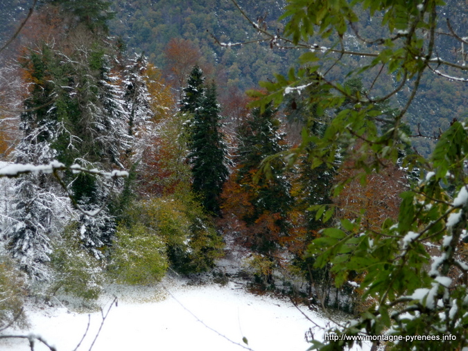 hiver et automne se côtoient en vallée d'Aure