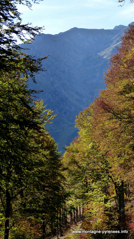 automne à la hourquette d'Ancizan