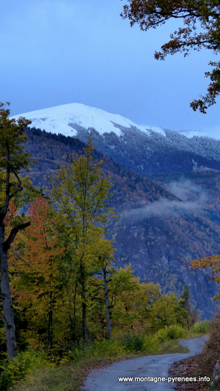 entre Grailhen et Gouaux , vue sur le Plo del Naou en vallée d'Aure - Pyrénées