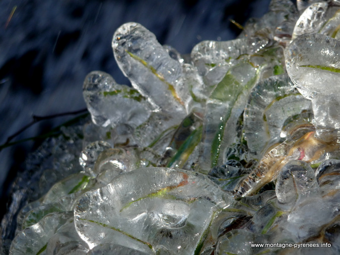 sculpture de glace