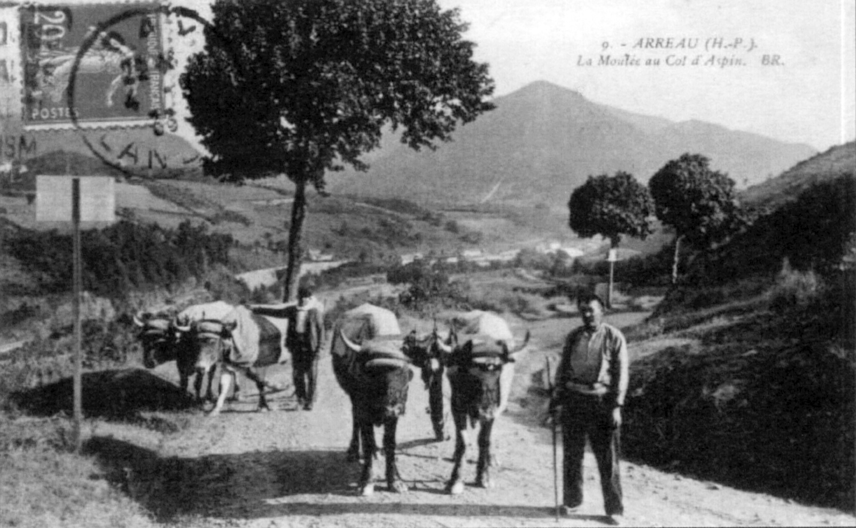 Attelage sur la route du col d'Aspin