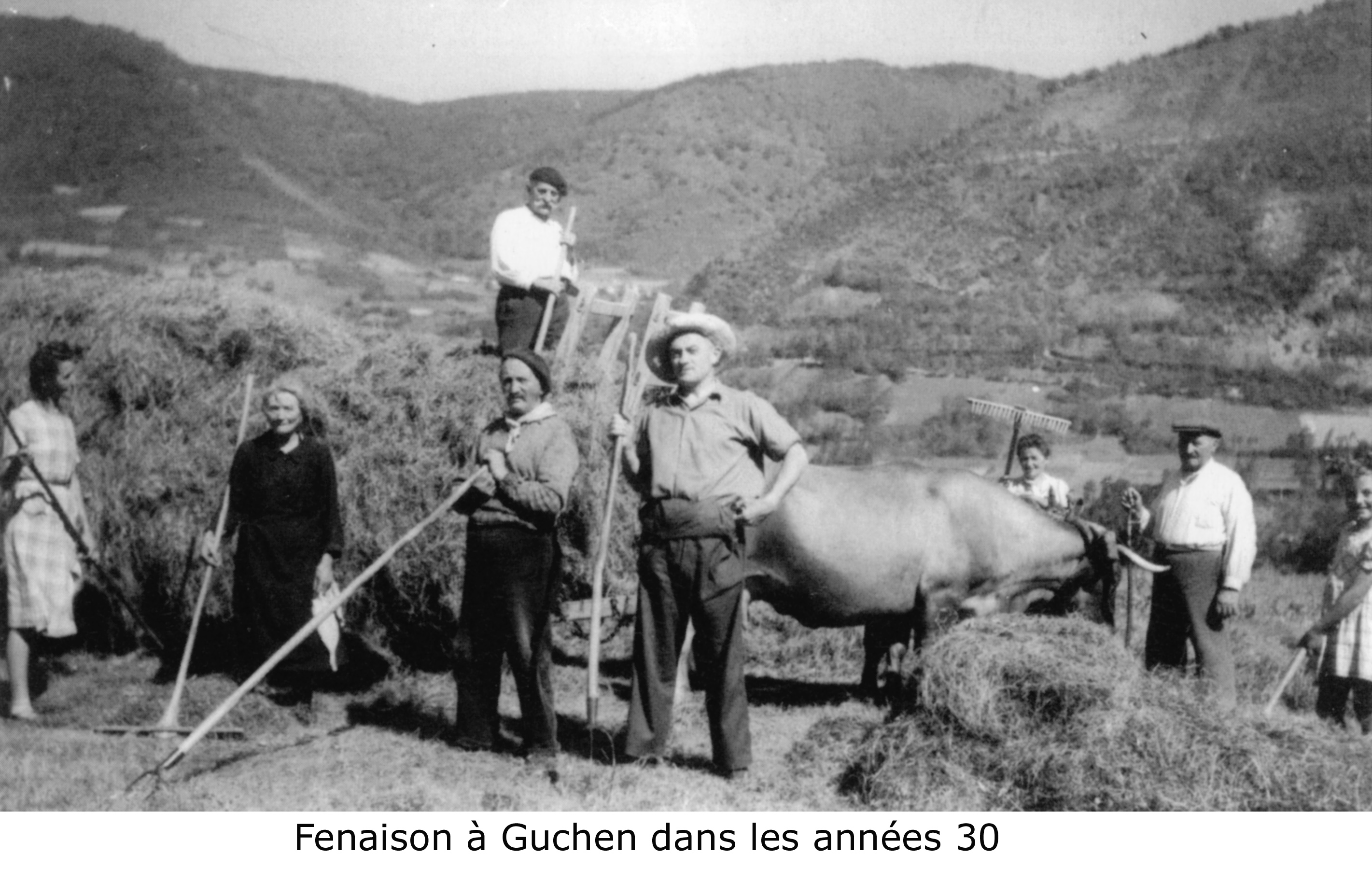 fenaison à Guchen dans les années 30