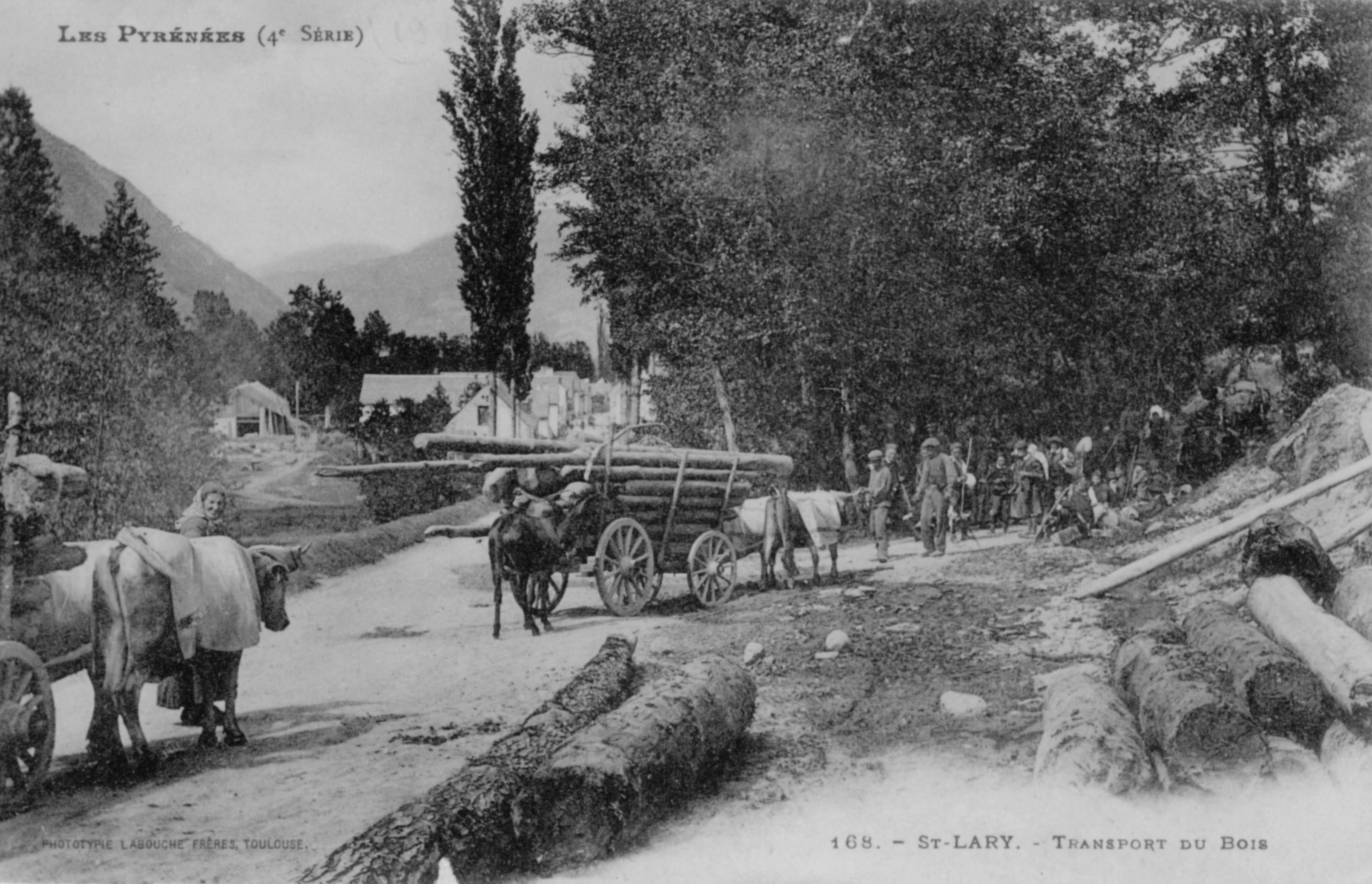 Transport du bois à Saint-Lary